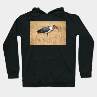 Marabou Stork, Leptoptilos crumeniferus, Kenya Hoodie